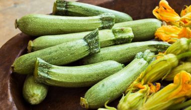 Δηλητηρίαση από κουκουρβιτασίνη: Πώς θα καταλάβετε εάν τα κολοκυθάκια δεν είναι ασφαλή για κατανάλωση