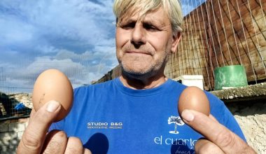 Ναύπλιο: Aγρότης βρήκε στο κοτέτσι του τεράστιο αυγό που ζυγίζει 114 γραμμάρια! (φωτο)