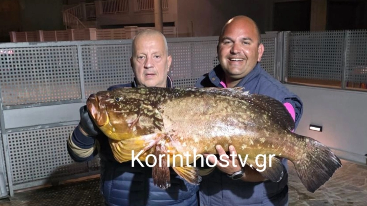 Κορινθία: Ψαράδες έπιασαν τεράστιο ροφό βάρους 20 κιλών! – Δείτε βίντεο