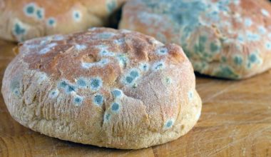 Μούχλα στο φαγητό: Δείτε ποιες τροφές μπορείτε να καταναλώσετε και ποιες πρέπει να πετάξετε