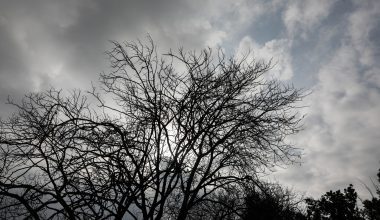 Άστατος αύριο ο καιρός με νεφώσεις και τοπικές βροχές – Η πρόγνωση της ΕΜΥ