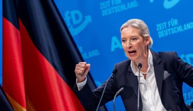 Γερμανία: Προελαύνει στις δημοσκοπήσεις η AfD – Πρώτο και πάλι το κόμμα της Α.Βάιντελ