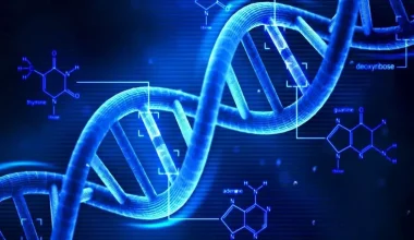 Ίχνη ανθρώπινου DNA βρέθηκαν σε μετεωρίτη 2 δισεκατομμυρίων ετών στον πλανήτη Άρη