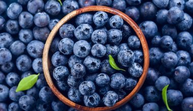 Μύρτιλα: Το φρούτο που θωρακίζει τον οργανισμό για να παραμένει ανθεκτικός απέναντι στους ιούς