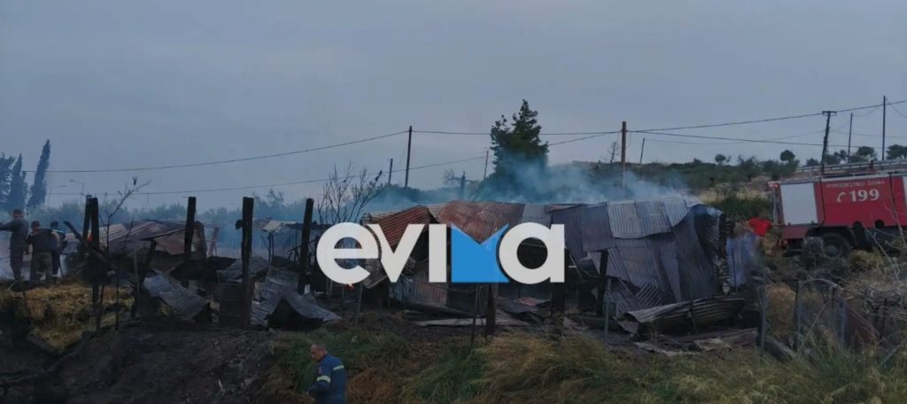Φλέγεται μαντρί στη Λίμνη Εύβοιας – Οκτώ πρόβατα νεκρά