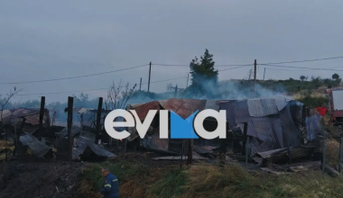 Φλέγεται μαντρί στη Λίμνη Εύβοιας – Οκτώ πρόβατα νεκρά