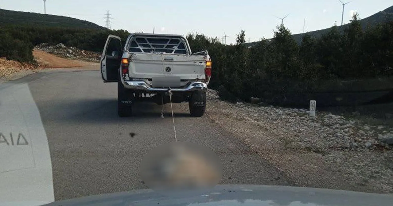 Κτηνωδία στη Βοιωτία: Άνδρας έσερνε με το αγροτικό του σκύλο – Τον είχε δέσει με σχοινί στον προφυλακτήρα (βίντεο)