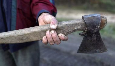 Λάρισα: Ποινή φυλάκισης δύο ετών στον 41χρονο που απείλησε μητέρα με τσεκούρι