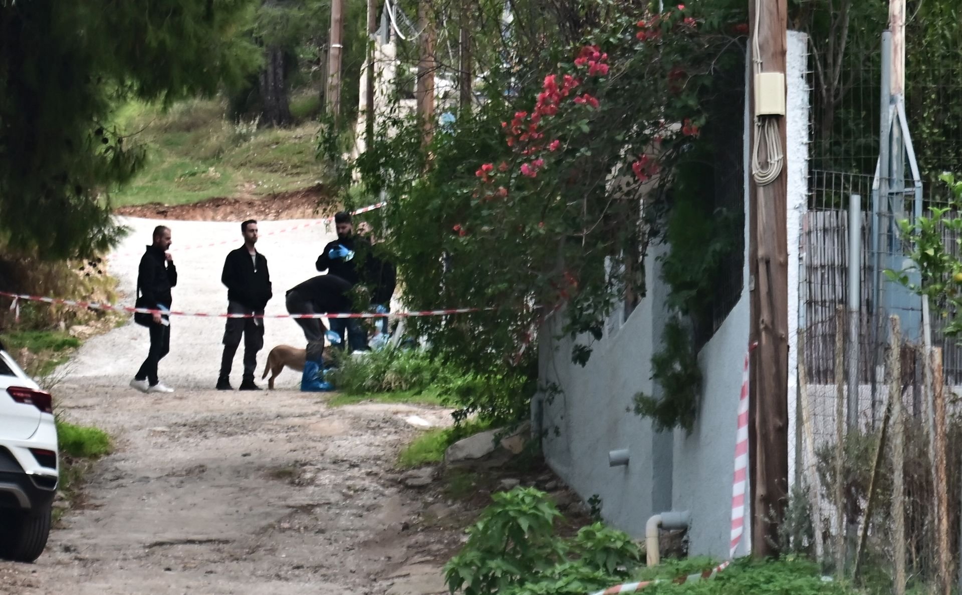 Φρικτός ο θάνατος της 75χρονης στη Σαλαμίνα: Είχε βαριές κακώσεις από ρόπαλο, κατσαβίδι και μαχαίρι