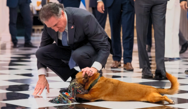 Πίνατ… ο τετράποδος «διπλωμάτης» στο Μαξίμου – Έκλεψε την παράσταση στις συνομιλίες για την ενέργεια