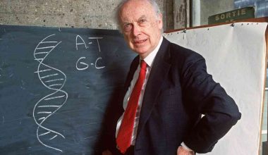 «Έφυγε» από τη ζωή σε ηλικία 97 ετών ο Τ.Γουότσον: Ήταν ένας από τους επιστήμονες που ανακάλυψαν τη δομή του DNA