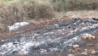 Φρικτό εύρημα στην Βοιωτία: Απανθρακωμένη σορός εντοπίστηκε σε καμένο αυτοκίνητο – Δύσκολη η ταυτοποίησή της