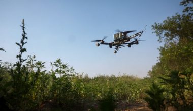 Βίντεο: Ρωσικό drone κατέρριψε ουκρανικό UAV αξίας 20.000 δολαρίων με μια… κονσέρβα κρέατος!