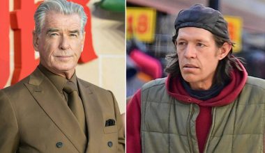 «Γέφυρες» προσέγγισης του Πιρς Μπρόσναν με τον πρώην τοξικομανή γιο του: Οι δυο απώλειες που πλήγωσαν τον ηθοποιό