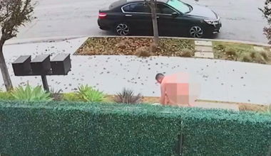 Λος Άντζελες: 79χρονος βετεράνος του Βιετνάμ σκότωσε γυμνό μανιακό ο οποίος του έσπασε και τα δύο πόδια (βίντεο)