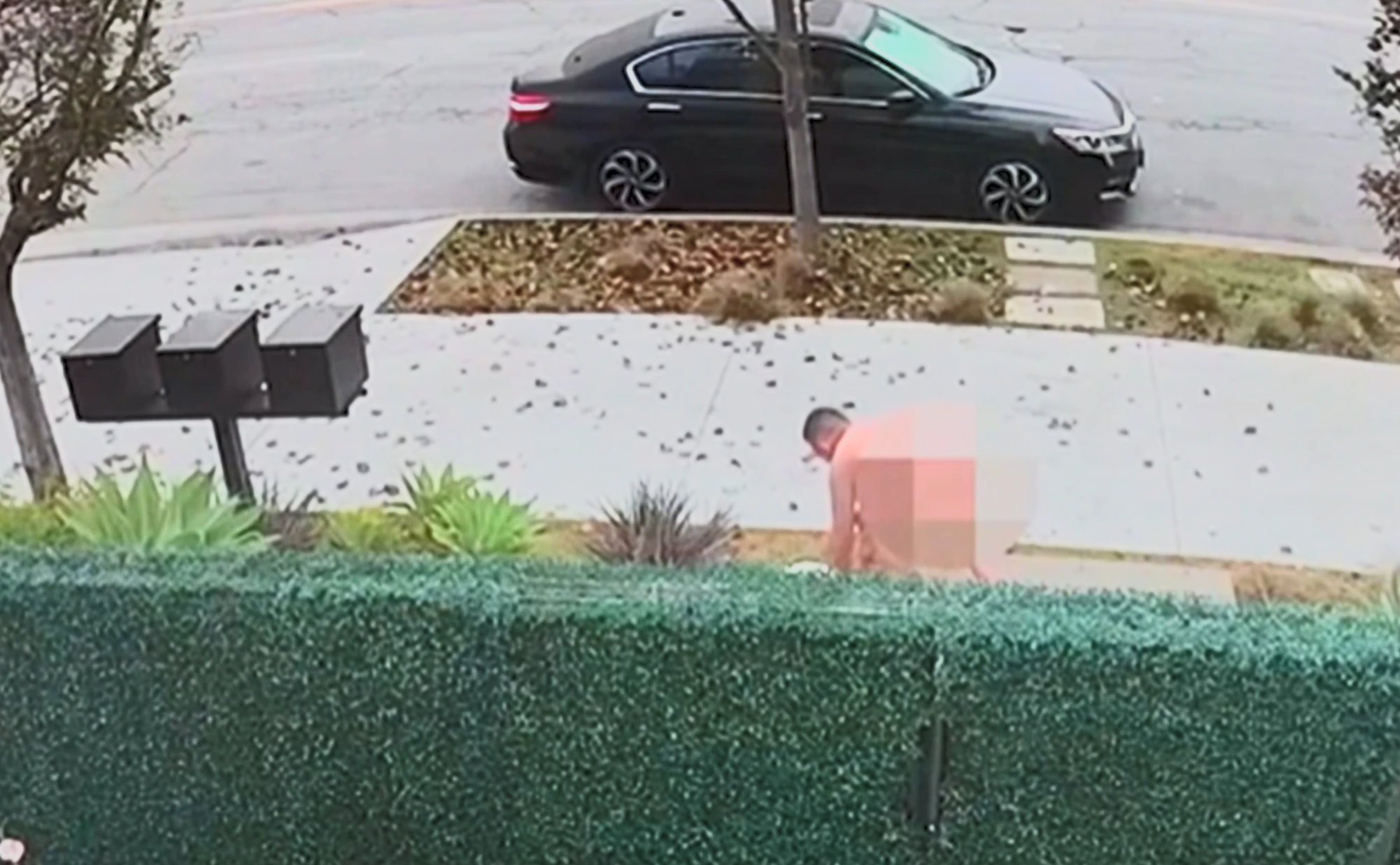 Λος Άντζελες: 79χρονος βετεράνος του Βιετνάμ σκότωσε γυμνό μανιακό ο οποίος του έσπασε και τα δύο πόδια (βίντεο)