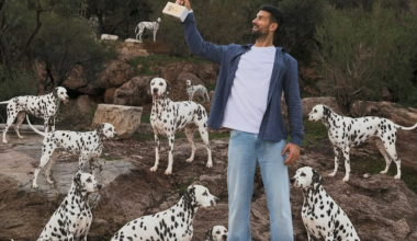 Στην Ακρόπολη με σκυλιά Δαλματίας: Ο Τζόκοβιτς πανηγύρισε στην Ακρόπολη τους 101 τίτλους του