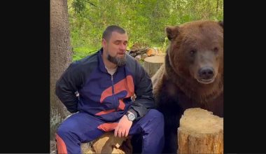 Ρωσία: Άνδρας δίνει σοκολατένιο αυγό σε αρκούδα και εκείνη ξετρελαίνεται – Δείτε βίντεο