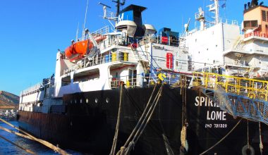 Τουρκία: Περίπου 3.000 αγελάδες παραμένουν εγκλωβισμένες σε φορτηγό πλοίο στα ανοιxτά της χώρας