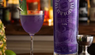 Από σήμερα «τζιν» θα ονομάζονται μόνο αλκοολούχα ποτά