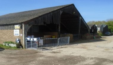 Σαουθάμπτον: Εκατοντάδες επισκέπτες αρρώστησαν σε μολυσμένη φάρμα – Παιδιά φιλούσαν στο στόμα βρώμικες κατσίκες