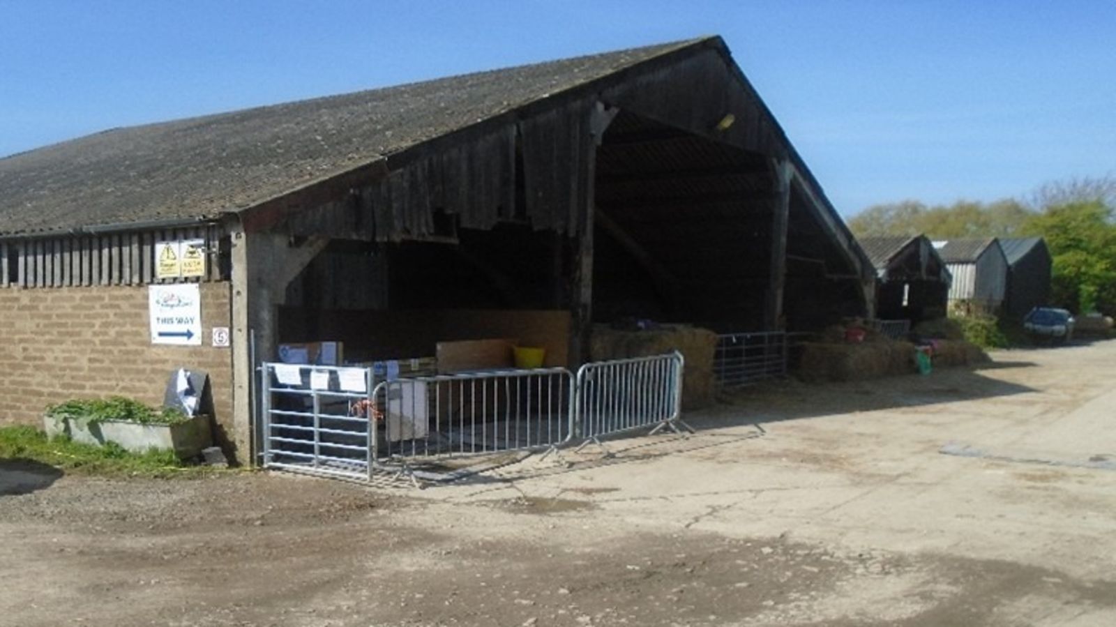 Σαουθάμπτον: Εκατοντάδες επισκέπτες αρρώστησαν σε μολυσμένη φάρμα – Παιδιά φιλούσαν στο στόμα βρώμικες κατσίκες