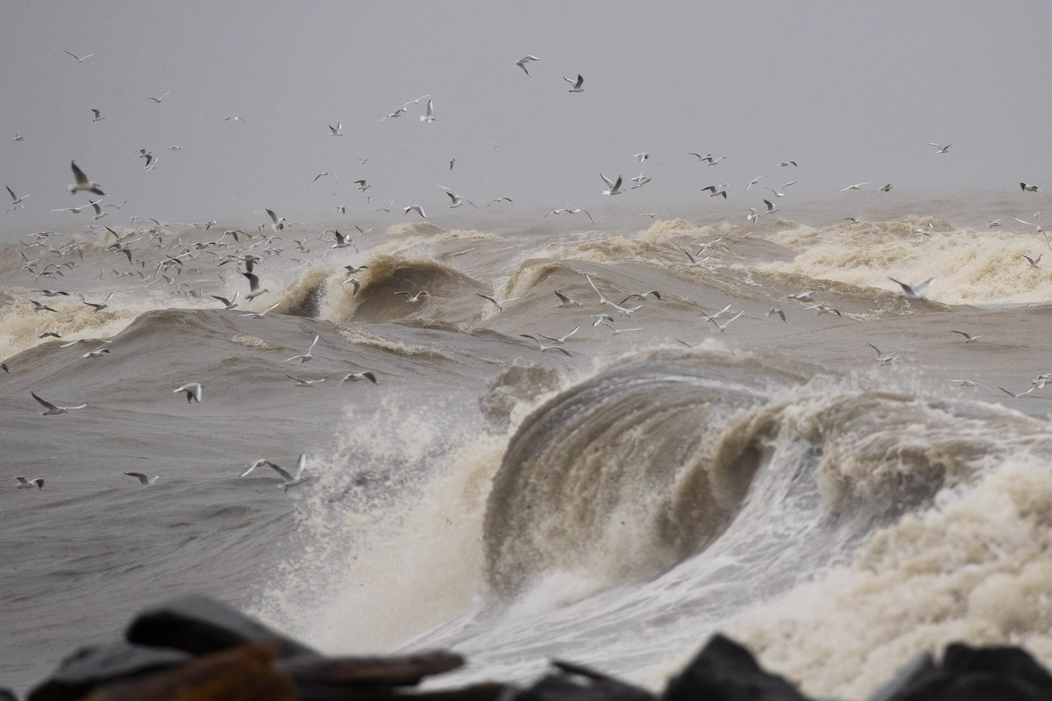 Ιταλία: «Κύμα» κακοκαιρίας πλήττει τη Γένοβα – Ανεμοστρόβιλος προκάλεσε ζημιές στο λιμάνι