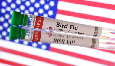 Καταγράφηκε το πρώτο κρούσμα της γρίπης των πτηνών H5N5 σε άνθρωπο στις ΗΠΑ