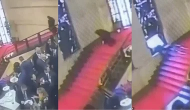 Βίντεο: H στιγμή που δημοτικός σύμβουλος πέφτει από σκάλα σε υπουργείο στη Ρώμη και καταστρέφει βιτρό του 1932!