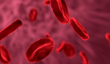 Rh-null ή αλλιώς… «χρυσό αίμα»: Ο σπάνιος τύπος που έχουν λιγότεροι από 50 άνθρωποι σε ολόκληρο τον κόσμο!