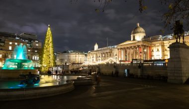 Αυτά είναι τα χριστουγεννιάτικα δέντρα σε όλο τον κόσμο που πάντα εντυπωσιάζουν (φωτο)