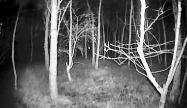 Κουπιάνσκ: Ρώσος χειριστής FPV  ανακαλύπτει Ουκρανικές ειδικές δυνάμεις με την κάμερα IR