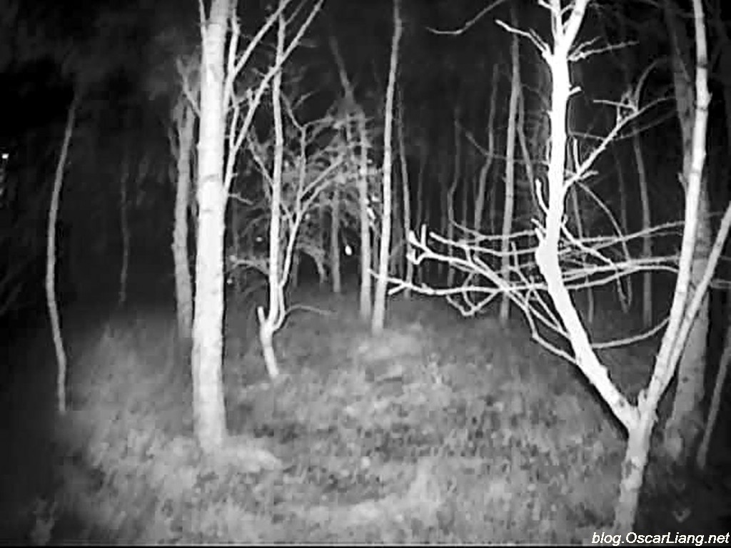 Κουπιάνσκ: Ρώσος χειριστής FPV  ανακαλύπτει Ουκρανικές ειδικές δυνάμεις με την κάμερα IR