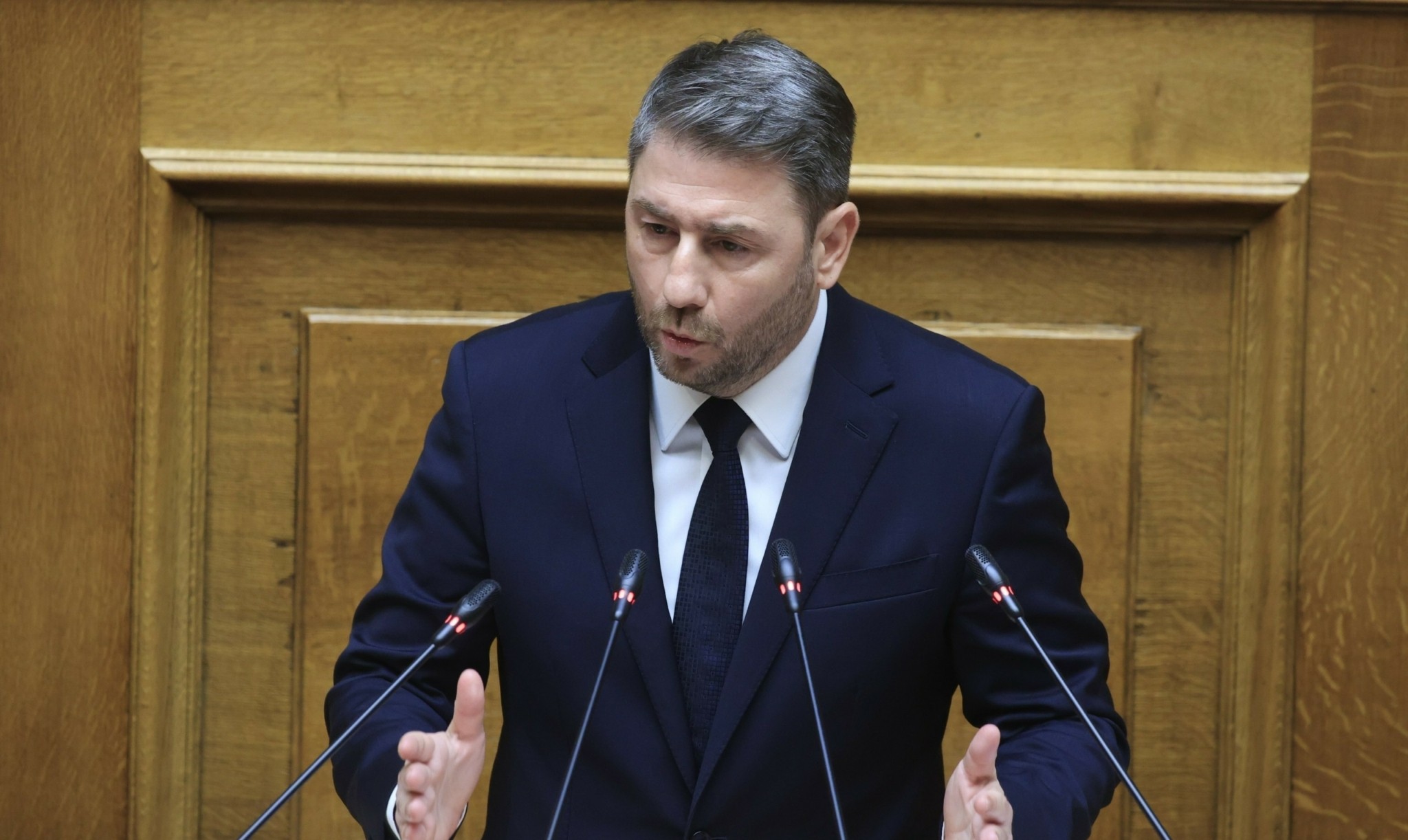 Ν.Ανδρουλάκης: «Ο Κ.Μητσοτάκης δήλωσε ότι δεν είναι ο Χάρι Πότερ όμως εκατομμύρια πολίτες καλούνται να γίνουν»