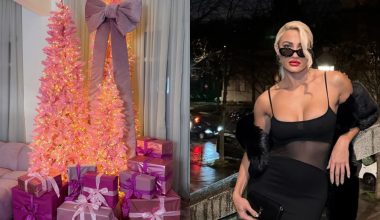 Όλα είναι ροζ: Ο εντυπωσιακός χριστουγεννιάτικος στολισμός της Ι.Τούνη στο σπίτι της στη Θεσσαλονίκη (βίντεο)