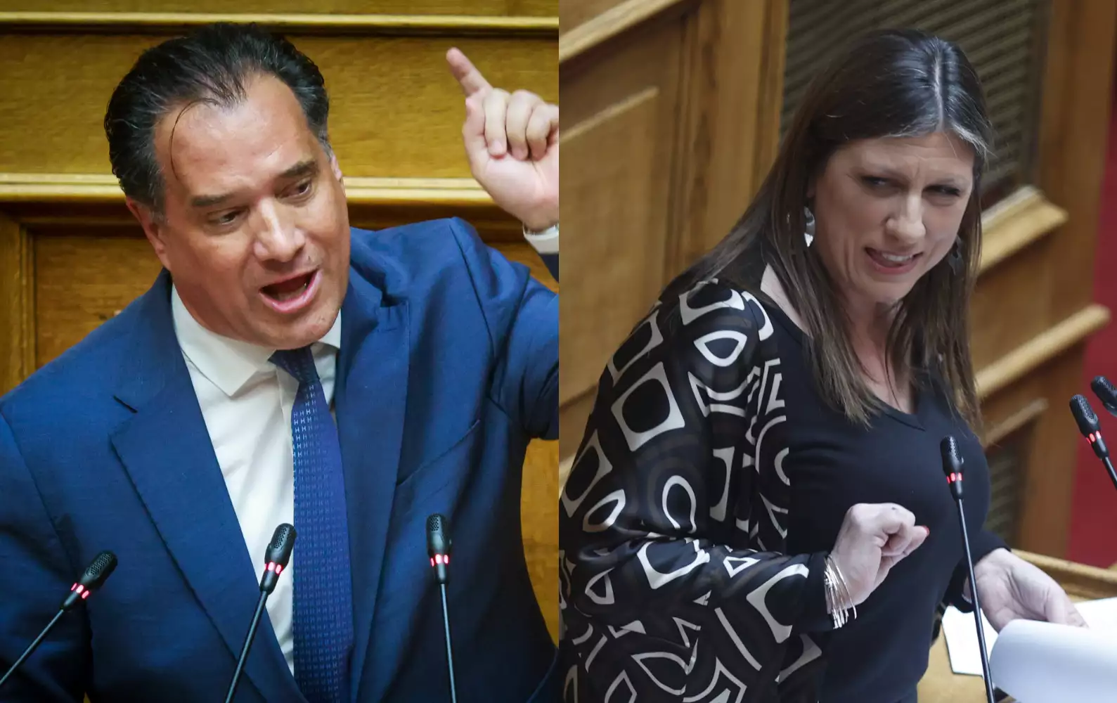 Α.Γεωργιάδης σε Ζ.Κωνσταντοπούλου: «Αφου θαυμάζεις τον Καραναστάση, δεν τον ακολουθείς να ησυχάσει η Βουλή;»