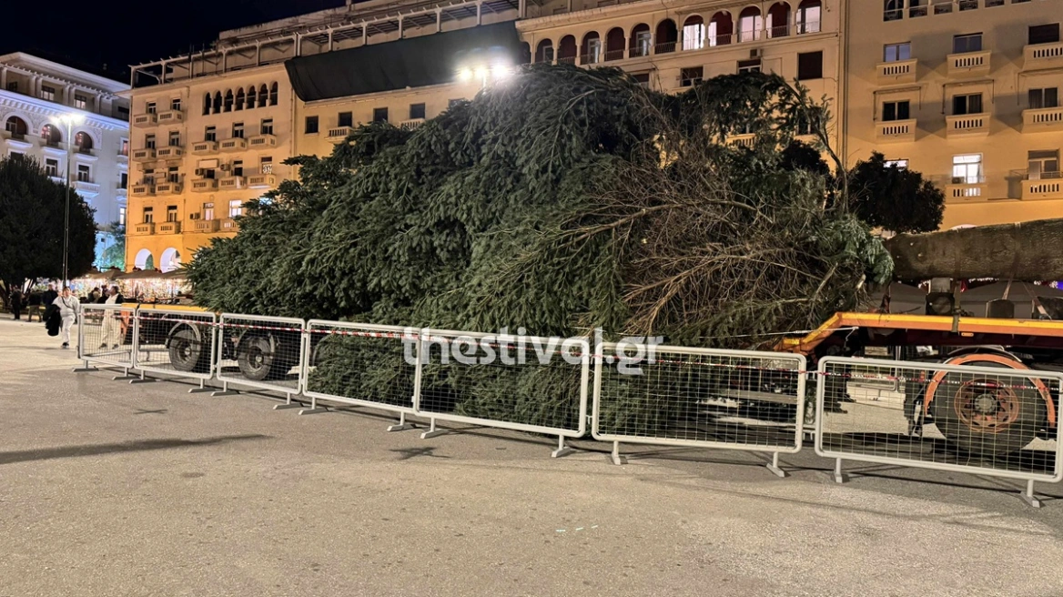 Τα γιορτινά της φοράει η Θεσσαλονίκη: Έφτασε στην πλατεία Αριστοτέλους το δένδρο των 18 μέτρων
