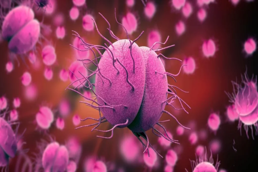 ΠΟΥ για γονόρροια: Αυξάνεται ανησυχητικά η αντοχή της στα αντιβιοτικά που χορηγούνται για την αντιμετώπισή της