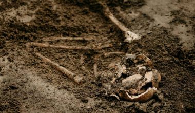 Σπουδαία ανακάλυψη στην Κάτω Αχαΐα: Εντοπίστηκαν αρχαίος αμφορέας και ανθρώπινος σκελετός (φωτο)