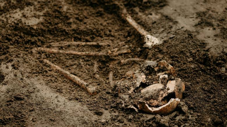Σπουδαία ανακάλυψη στην Κάτω Αχαΐα: Εντοπίστηκαν αρχαίος αμφορέας και ανθρώπινος σκελετός (φωτο)
