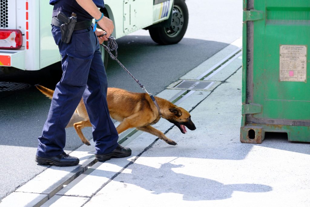 Συνελήφθη 39χρονος Βέλγος κατόπιν εντάλματος από την Europol – Είχε εμπλακεί στην υπόθεση με τα 500 κιλά κοκαΐνης