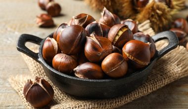 Αξίζουν μια θέση στη διατροφή μας: Αυτά είναι τα οφέλη που έχουν για την υγεία τα κάστανα
