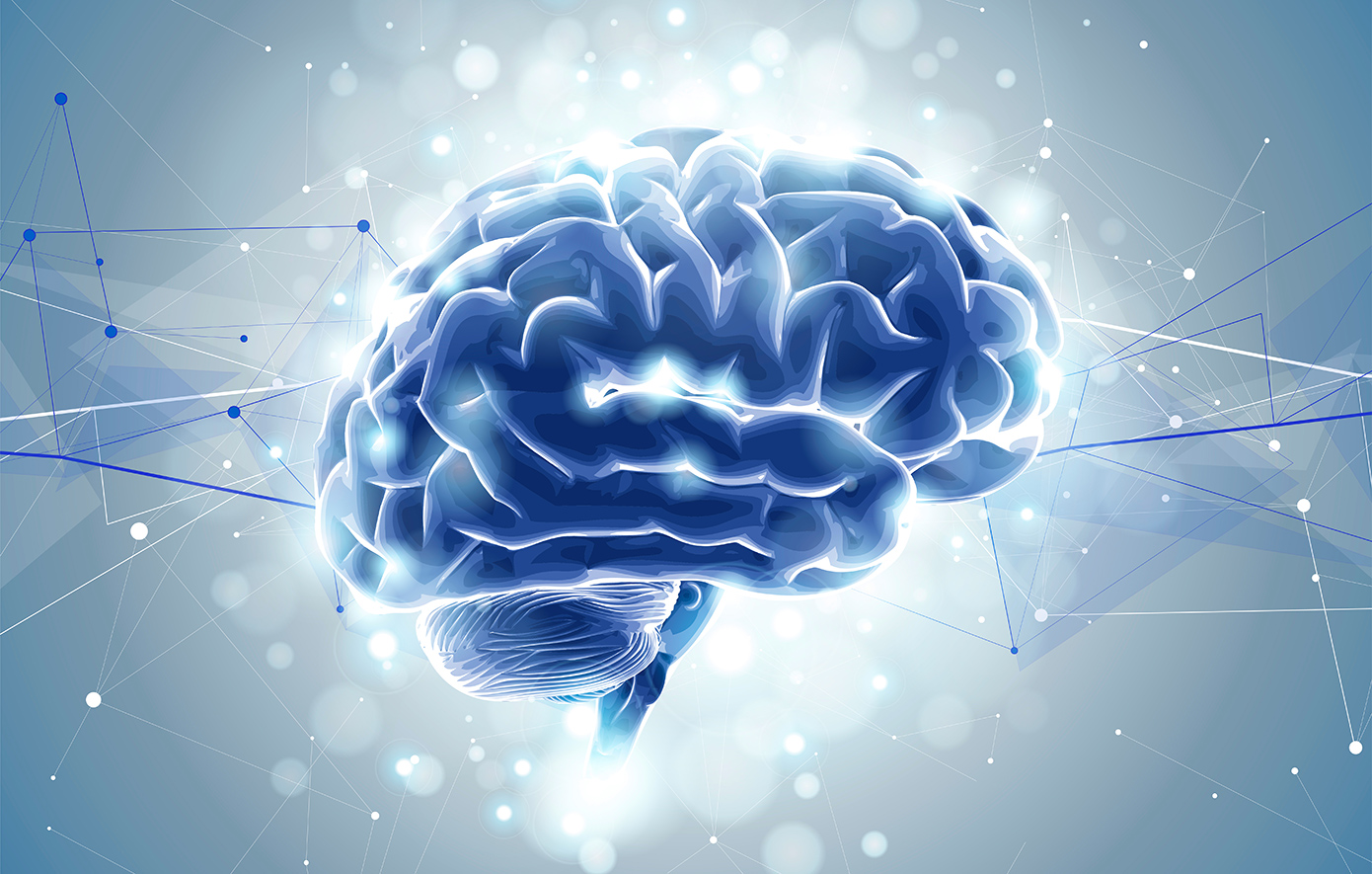 Αυτές είναι οι πέντε «εποχές» του εγκεφάλου: Η εφηβεία μπορεί να τελειώνει μετά τα 30!