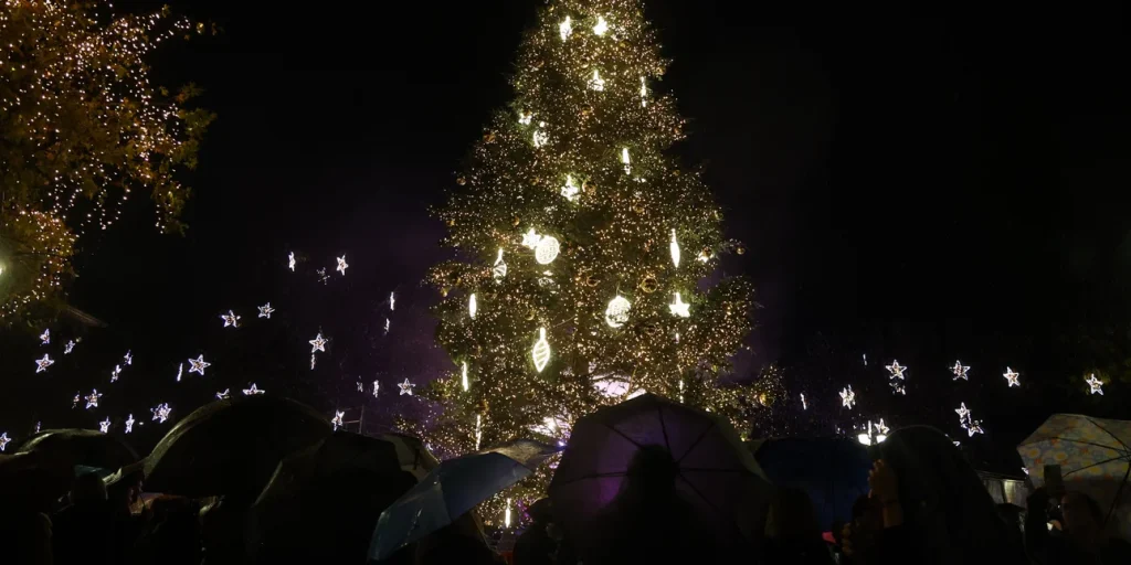 Αθήνα: Υπό βροχή η φωταγώγηση του χριστουγεννιάτικου δέντρου στο Σύνταγμα – Δείτε εικόνες