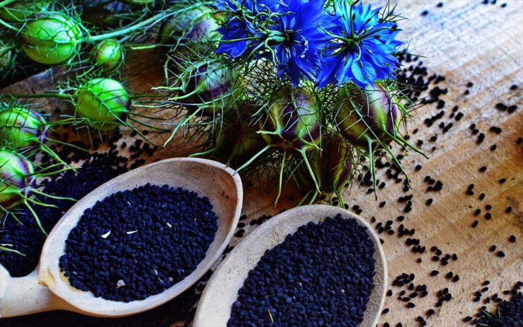 Δείτε πώς οι σπόροι μαύρου κύμινου μπορούν να βοηθήσουν στη μείωση της χοληστερόλης