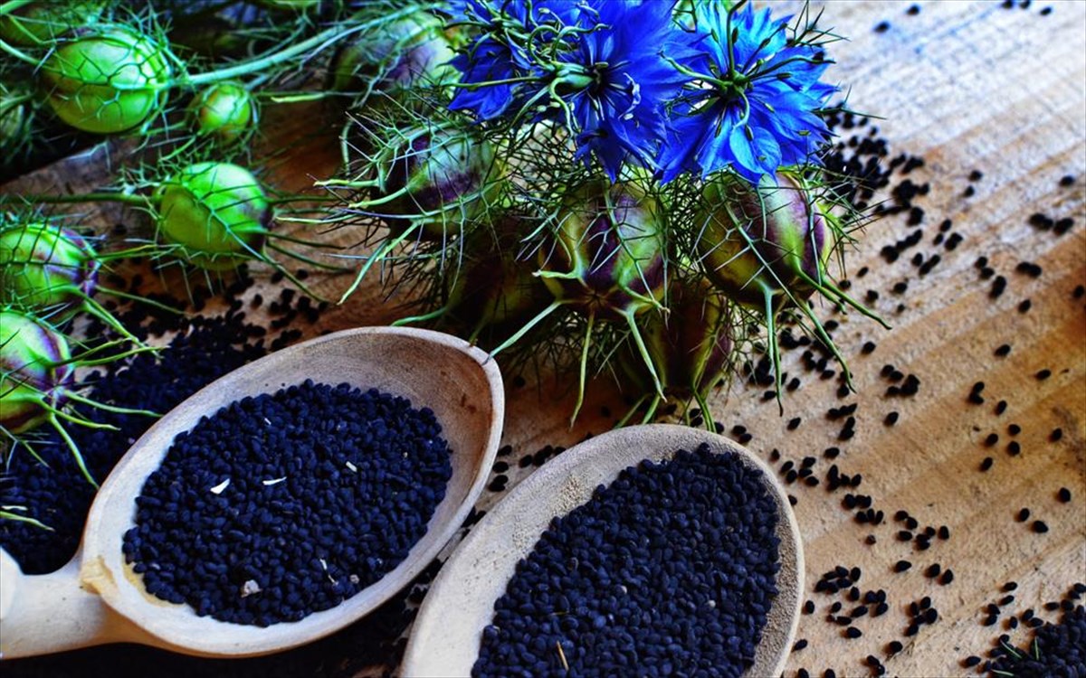 Δείτε πώς οι σπόροι μαύρου κύμινου μπορούν να βοηθήσουν στη μείωση της χοληστερόλης