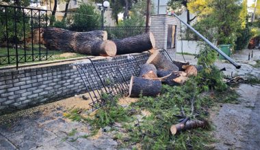 Το απότοκο της κακοκαιρίας στην Κηφισιά: Έπεσαν δέντρα – Καταστράφηκαν οχήματα – Ζημιές & σε κολόνες της ΔΕΗ (φωτο)