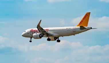«Πανικός» στον αέρα σε πτήση της τουρκικής Pegasus Airlines: Το αεροσκάφος χτυπήθηκε δύο φορές από κεραυνό (βίντεο)