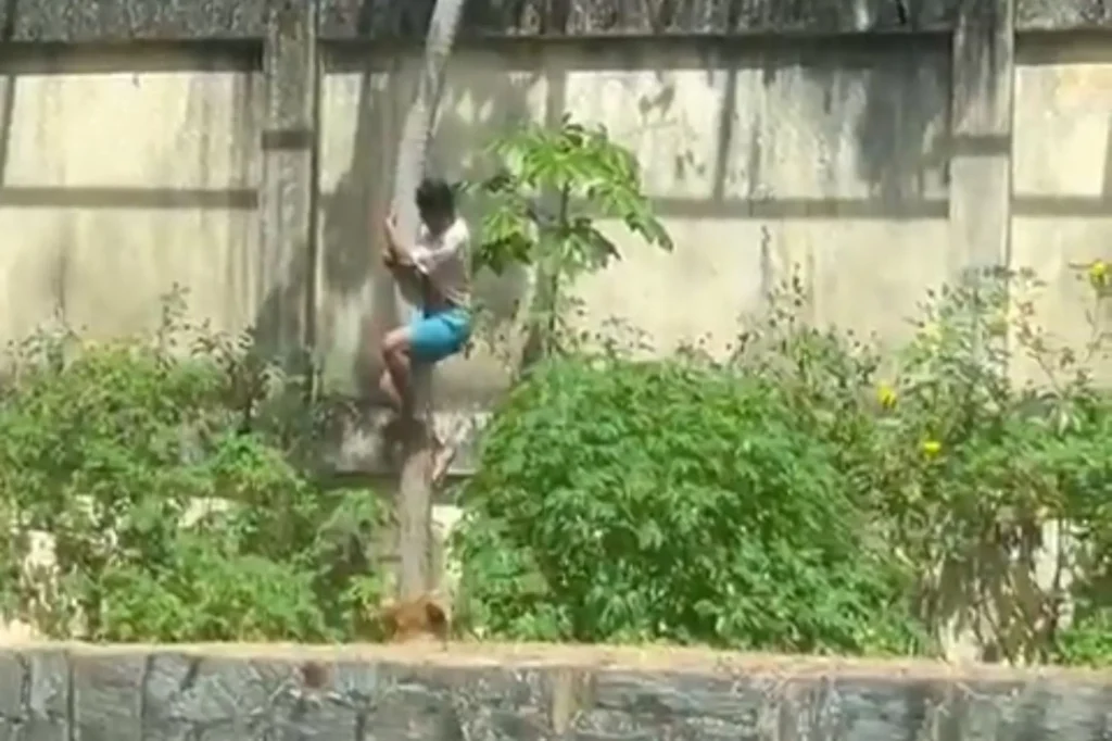 Φρικτό συμβάν στη Βραζιλία: 19χρονος μπήκε σε ζωολογικό κήπο και τον έφαγαν ζωντανό τα λιοντάρια (βίντεο)