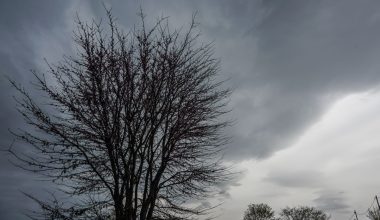 Με τοπικές βροχές το αυριανό «σκηνικό» του καιρού – Η πρόγνωση της ΕΜΥ για όλη τη χώρα